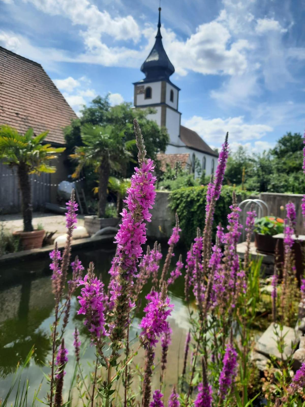 Spatzennest Und Rabennest Sugenheim Luaran gambar